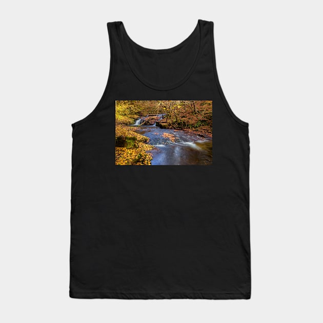 Afon Nedd Fechan, Brecon Beacons Tank Top by dasantillo